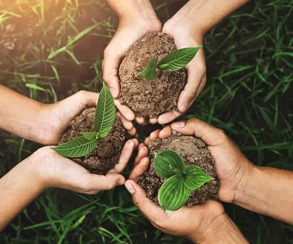 الاستدامة البيئية